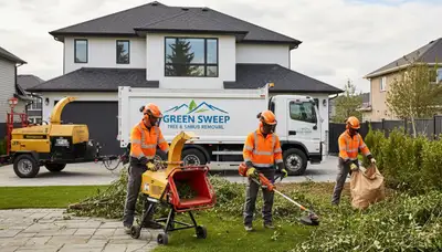 Professional shrub removal service in Arlington, TX safely clearing overgrown bushes from yard
