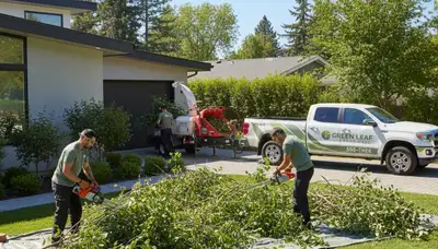 Crew performing professional shrub removal in Arlington, TX for residential tree service