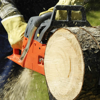 Kennedale aiken TX tree removal sc,